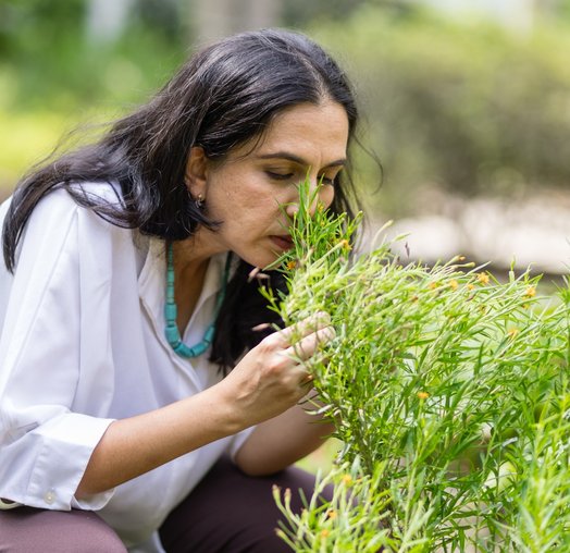 Functional medicine and naturopathy consultation