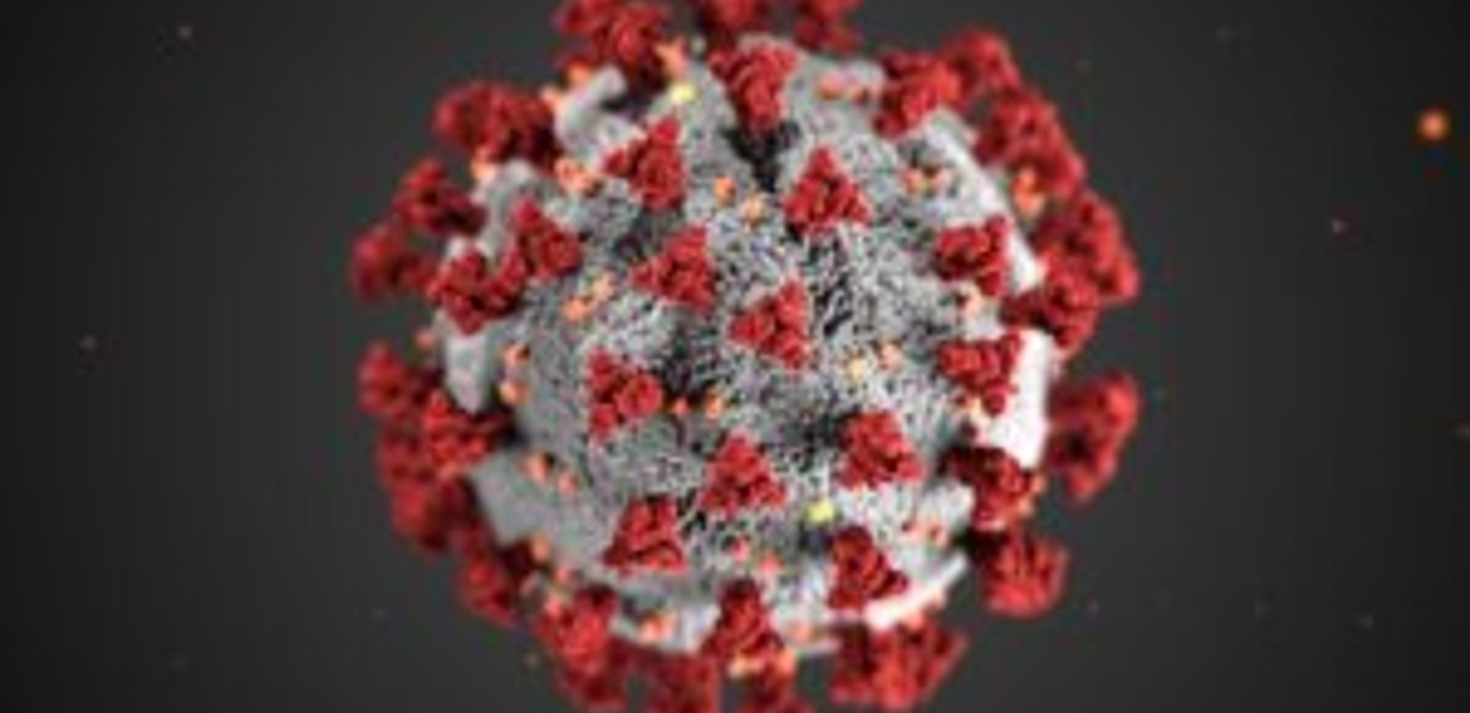 Natural Remedies + Naturopathic Treatment of Chronic Viral Infection